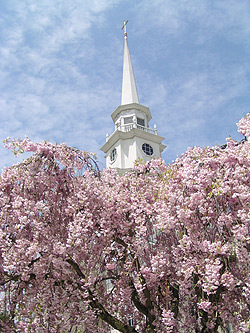 Bowen's Wharf Anchor